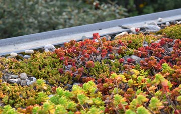 the cost of Cotonwood green roof installation