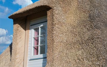 Cotonwood thatch roof disadvantages